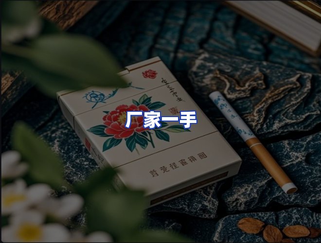 专业团队
